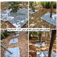 کاور پلاستیکی مالچ درختان پسته|خدمات باغبانی و درختکاری|رفسنجان, |دیوار