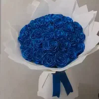 گل روبانی|گل مصنوعی|نیشابور, دارایی|دیوار