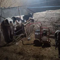 مرکزی کمیجان میلاجرد روستایی  مهدی آباد