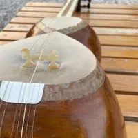تار|سازهای سنتی|اصفهان, عمان سامانی|دیوار