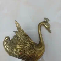قو برنز