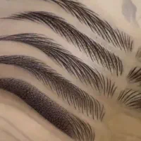 فیبروز ۱۲۰۰