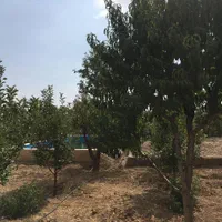 باغ 500 متری سنددار در مجموعه باغ شهرک لاکچری|فروش زمین و ملک کلنگی|تهران, بوستان سرخه حصار|دیوار
