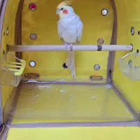 کیف حمل پرنده درجه یک