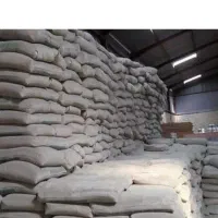 سیمان دورود