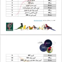 گرینچیک مولد|پرنده|کرج, کرج نو|دیوار