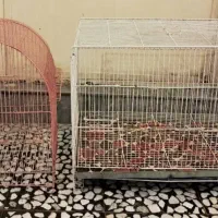 ۲ عدد قفس پرنده زینتی ب