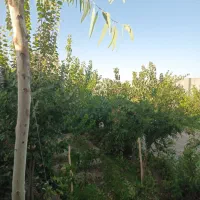 فروش باغ مناسب سرمایه گذاری  واقع درجیلان اباد|فروش خانه و ویلا|اصفهان, گورت|دیوار