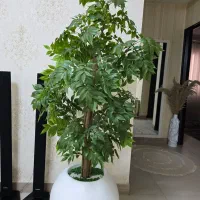 درخت اقاقیا|گل مصنوعی|بندرعباس, |دیوار