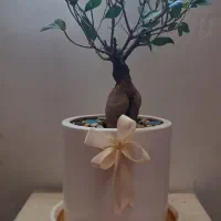 گل بنسای