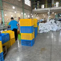 کاگر ساده جهت بسته بندی کفش