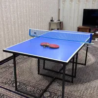 تولید میز پینگ پنگ  تاشو آپارتمانی