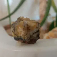 سنگ شجر کریستالی