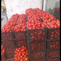 آبگیری گوجه لیمو انگور  و دستگاهای اصفهان|خوردنی و آشامیدنی|مشهد, توس (بلوار توس)|دیوار
