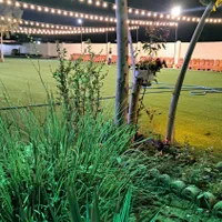 خانم منشی و حسابدار مجرد دفتر باغ تالار|استخدام اداری و مدیریت|نجف‌آباد, ویلاشهر|دیوار