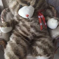 عروسک خرسی بزرگ