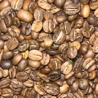 دان قهوه|کافی‌شاپ و رستوران|شاهرود, |دیوار