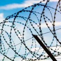 سیم خار دار