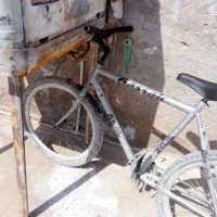 دوچرخه اساک|دوچرخه، اسکیت، اسکوتر|خاش, |دیوار