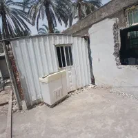 کانکس