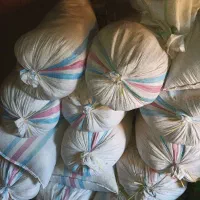 پرلیت گل و گلدان|گل و گیاه طبیعی|تربت‌حیدریه, منظر|دیوار