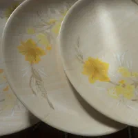 بشقاب ملامین