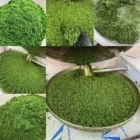 سبزیجات آماده سادات