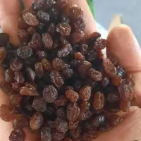 کشمش صادراتی پاک شده بیمه دم