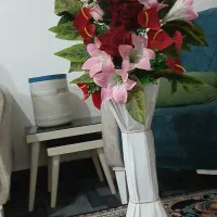 گل و گلدان سالم تمیز مرتب بزرگ فقط۶۰۰