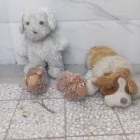 عروسک|اسباب‌بازی بچه|کرمان, |دیوار