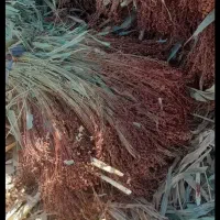 جارو دستی مشهدی