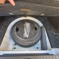 شاهین با سانروف ۱۴۰۱|خودرو سواری و وانت|فولادشهر, C3|دیوار