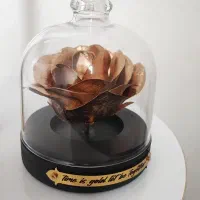 گیفت رز طلایی با رنگ و پلاک دلخواه