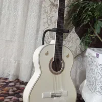 گیتاربه قیمت تولید به علت جمع آوری|گیتار، بیس، امپلیفایر|مشهد, شهید آوینی|دیوار