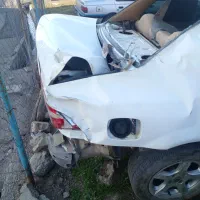 سمند تصادفی