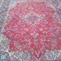 فرش،دست بافت|فرش|جهرم, |دیوار