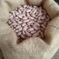 آحیل و خشکبار برکت|خوردنی و آشامیدنی|تهران, مسعودیه|دیوار