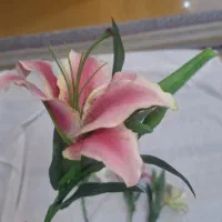 ظرف آشپزخانه|ظروف نگهدارنده، پلاستیکی، یکبارمصرف|کرمانشاه, |دیوار