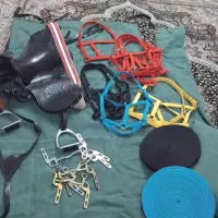 لوازم سوارکاری|اسب و تجهیزات اسب‌سواری|گرگان, |دیوار