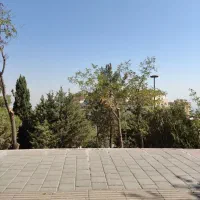 کارگر فست فود گریل کار و مسلط به تخته