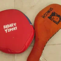 میت راکتی و پنجه ای
