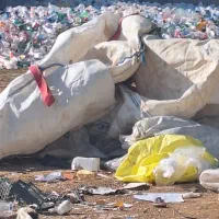 کارگر ساده آقا