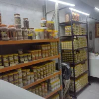 پخش ادویه درجه یک سراسر کشور