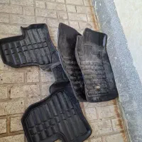 کف پایی رانا و ۲۰۶