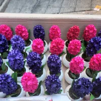 انواع کارهای هنری