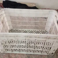 سبد|ظروف نگهدارنده، پلاستیکی، یک‌بارمصرف|گلستان (تهران), |دیوار