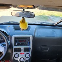 امویام 315 هاچبک عروسک|خودرو سواری و وانت|شیراز, باهنر|دیوار