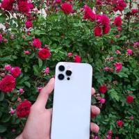 آیفون iPhone 12 pro max پک اصلی
