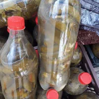 برگ مو-خیارشور - لواشک|خوردنی و آشامیدنی|مرند, |دیوار