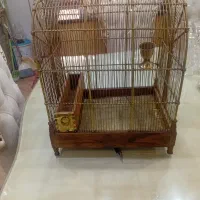 قفس سهره قناری و...